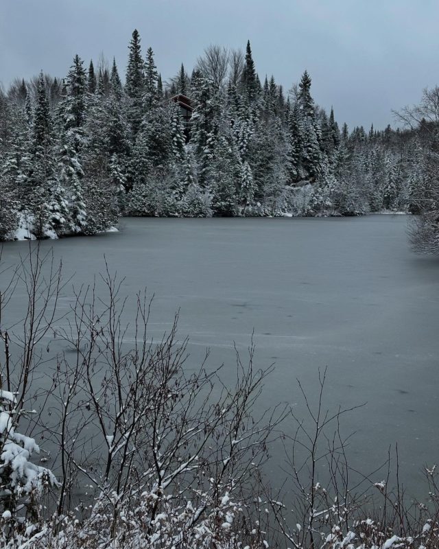 La saison en noir et blanc commence ☃️